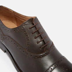 Ted Baker Arniie Leather Toe Cap Oxford Shoes -Vans Shoes Shop 13636736 2514977074149509